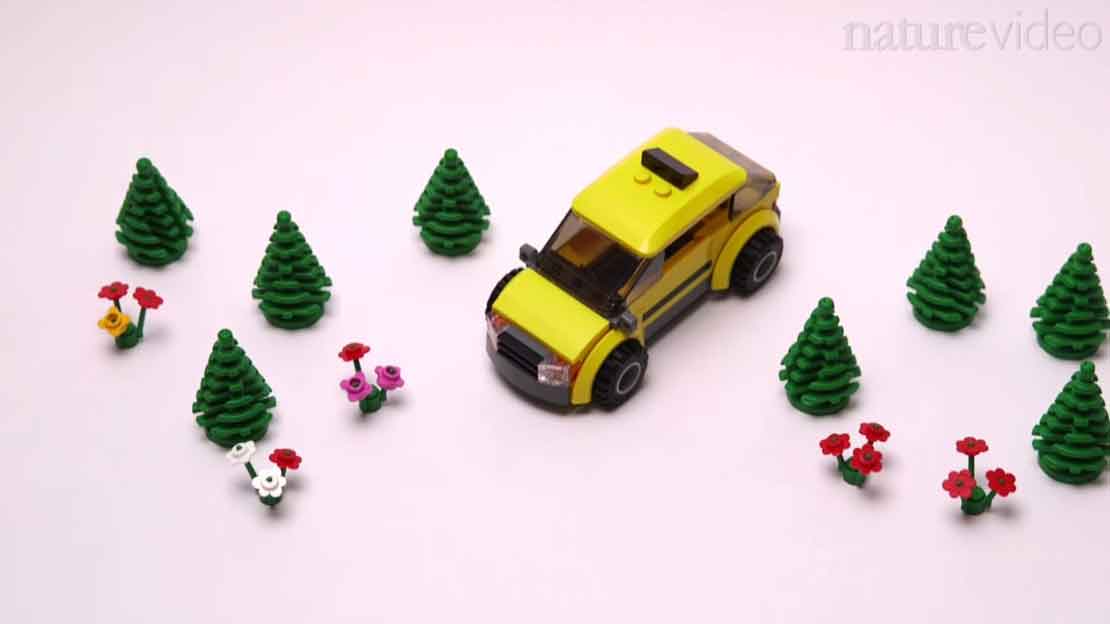 Taxis with no drivers could help environment