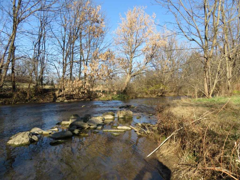 Md. revises action plan to protect wildlife