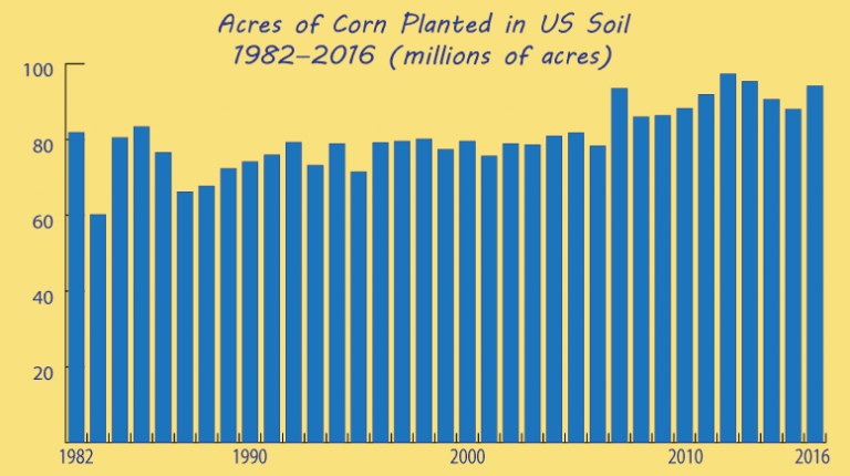Corn sweat at the center of summer heat