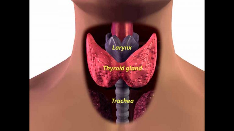 Thyroid function linked to reading & math ability
