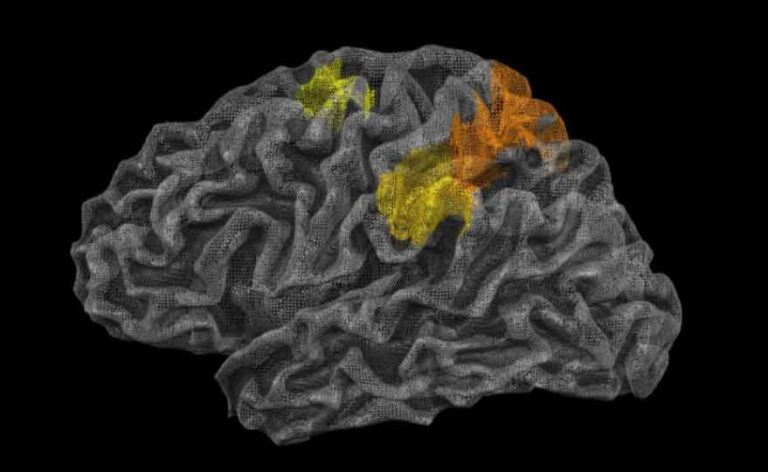 Our brain keeps playing simulations, so we survive