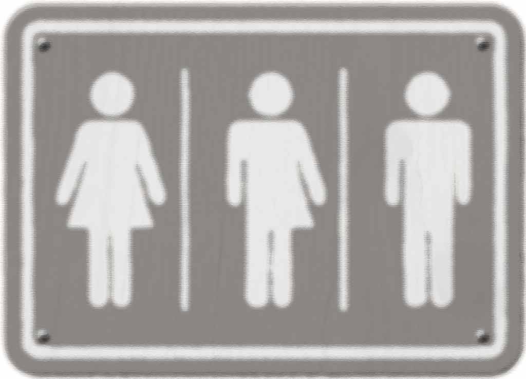 Transgender bathroom access on hold legally