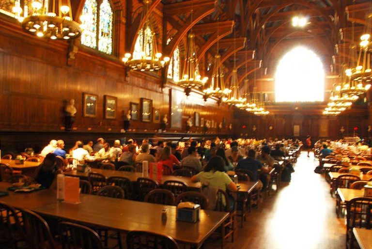 Diversity managers at colleges are thought police