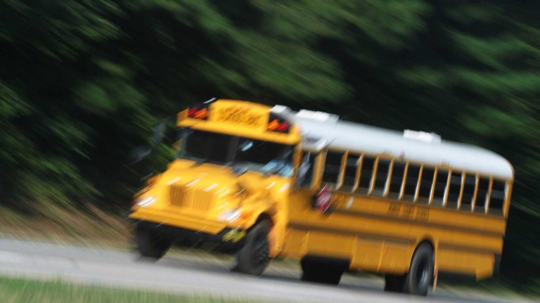 Should IL require seat belts on school buses?