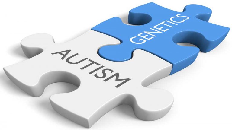Mitochondrial DNA mutations linked to autism