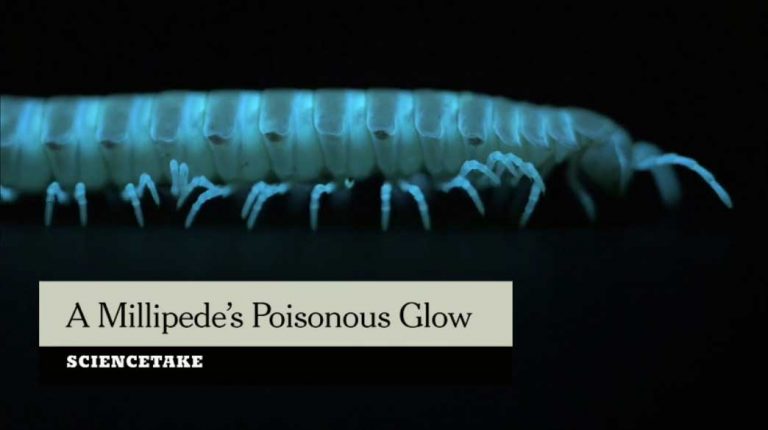 Spooky science stories for Halloween: NYT & others