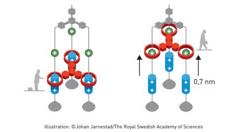 Nobel in chemistry for world’s smallest machines