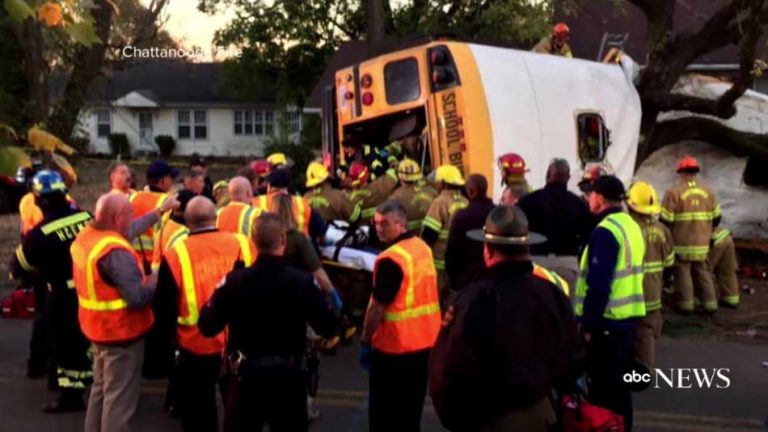 Would seat belts on school buses save lives?