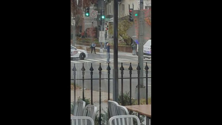 Alleged D.C. shooter was investigating ‘fake’ news