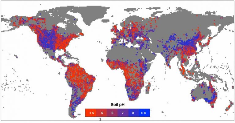 Based on acidity, where is the soil most fertile?