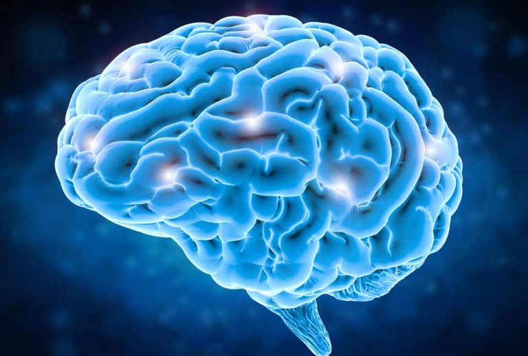 Continued brain training can help concussion victims