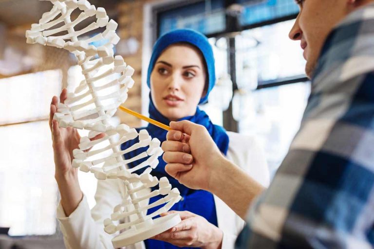 Better to teach genetics before evolution
