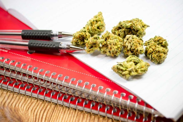 Marijuana users perform worse in school