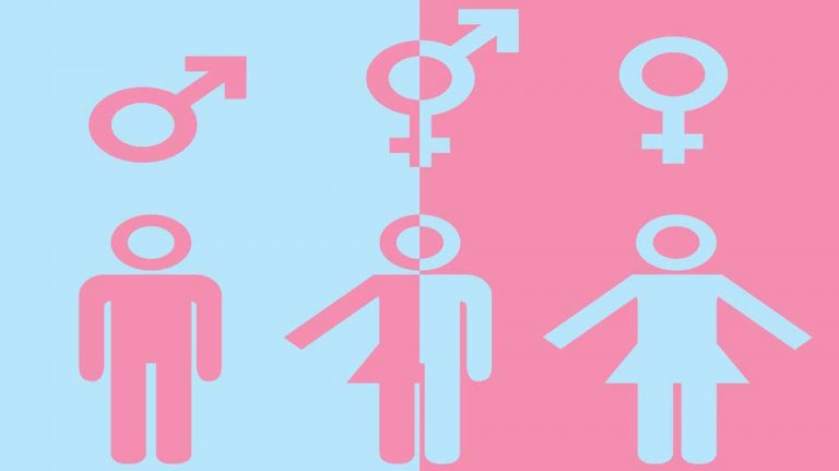 Wis. SD asks Supreme Court about transgender case