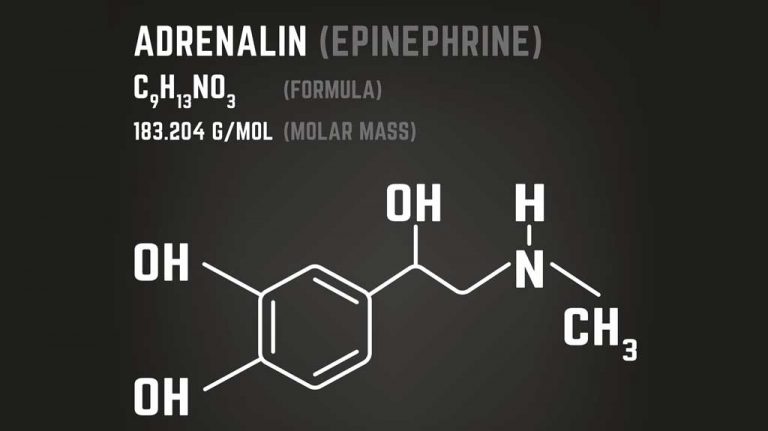 Doctors say schools need epinephrine, trained staff