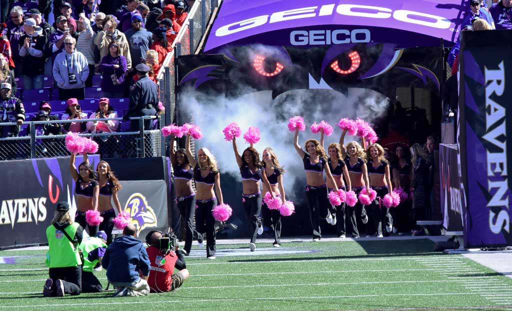 Purple & black are in your genes. What else is?