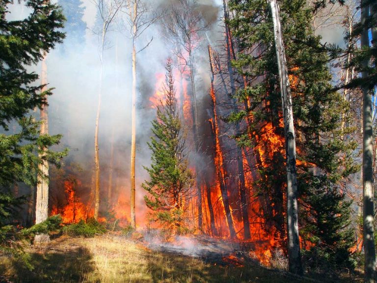 San Francisco is hot, with wildfires blazing nearby