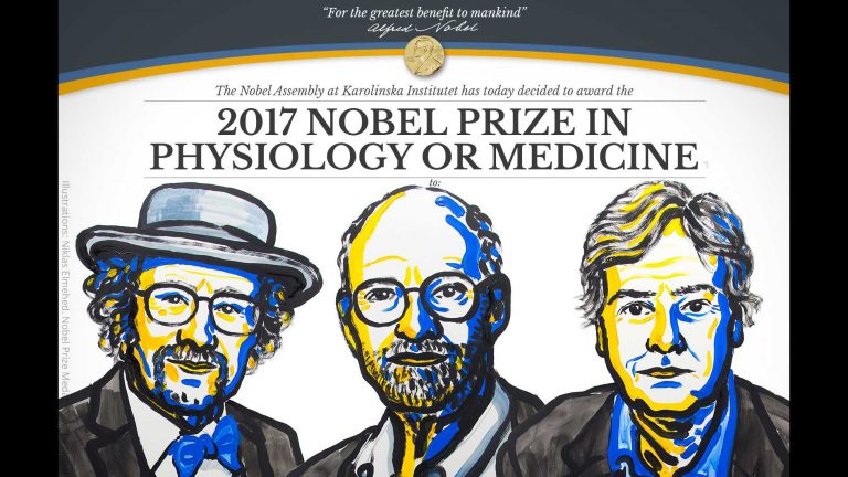 Circadian rhythm studies win a Nobel Prize