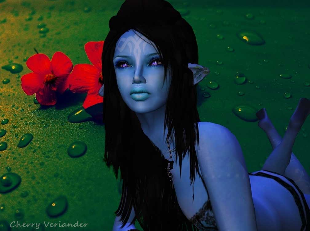 Now on to a marching band championship in Colo.