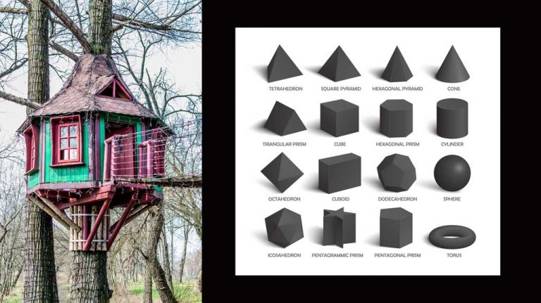Geometry builds a new house, even in a tree