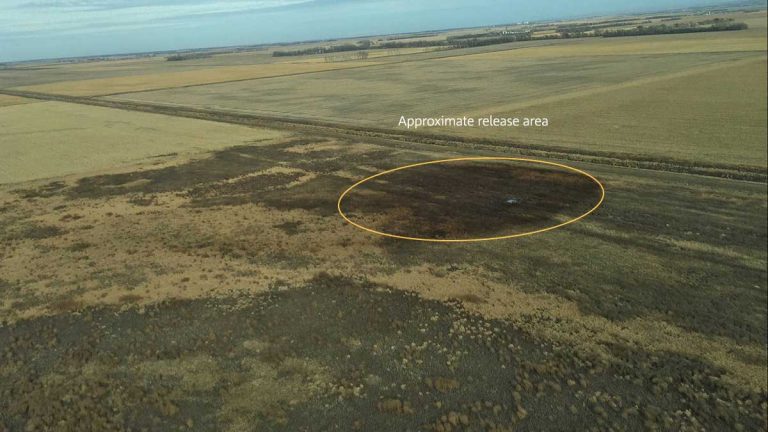 Keystone Pipeline leaks 210,000 gallons of oil