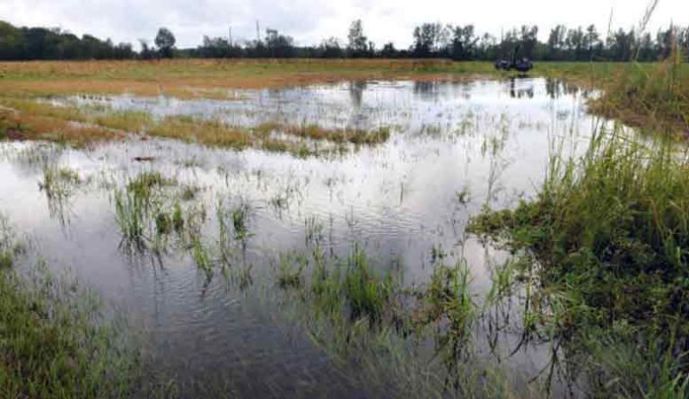 Typhoon Mangkhut, Hurricane Florence are deadly