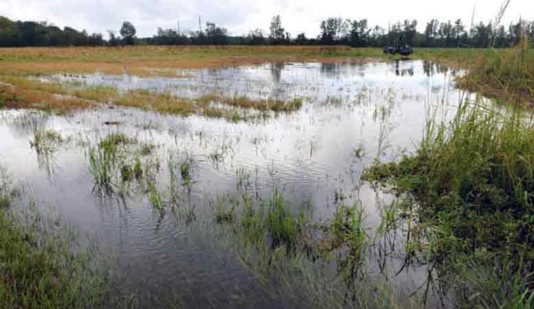 Typhoon Mangkhut, Hurricane Florence are deadly