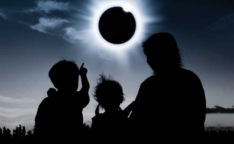 Bees stopped flying during total solar eclipse