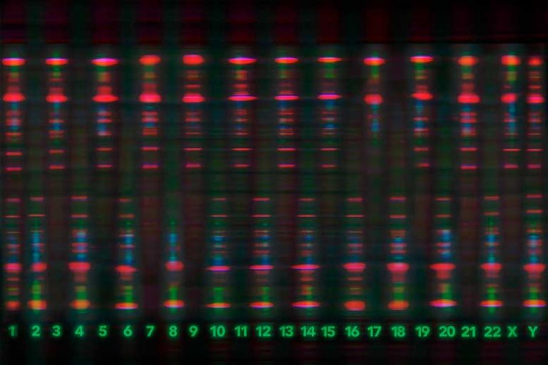 Scientists look to expand crime solving by genetics