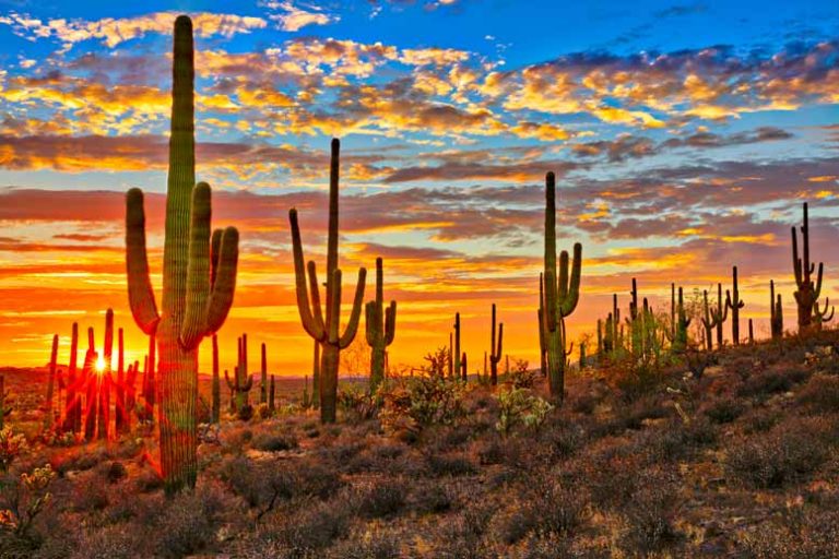 The people of Arizona say no to vouchers