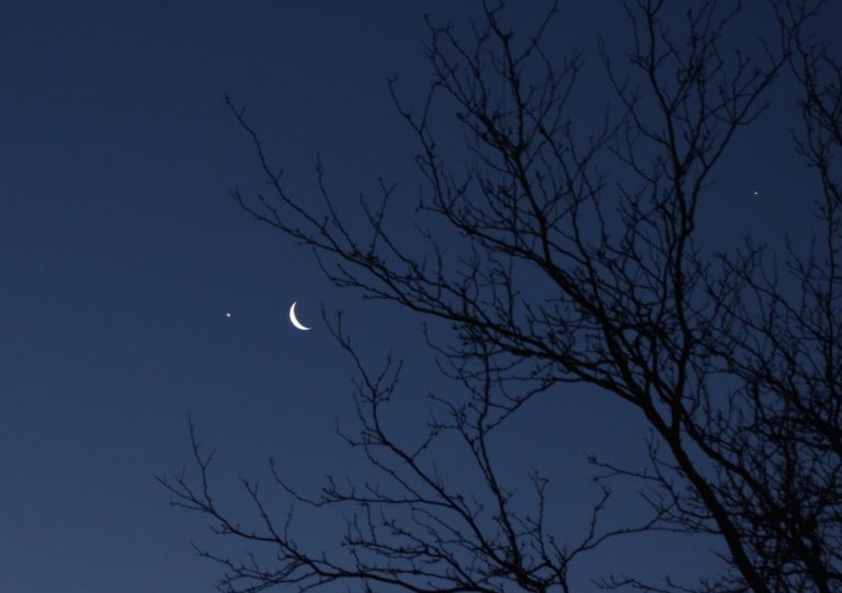 Lunar occultation of Venus occurred today