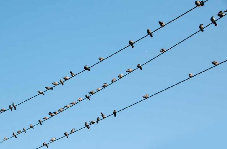Do cliques of today compare to those of yesteryear?