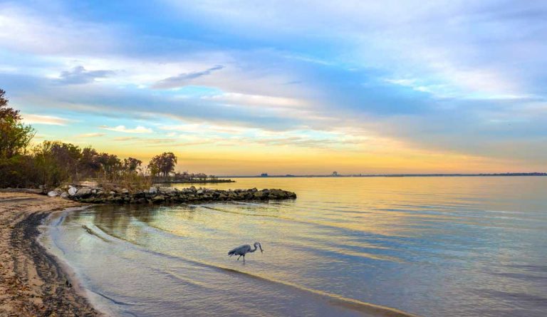 Feds boost Bay funding