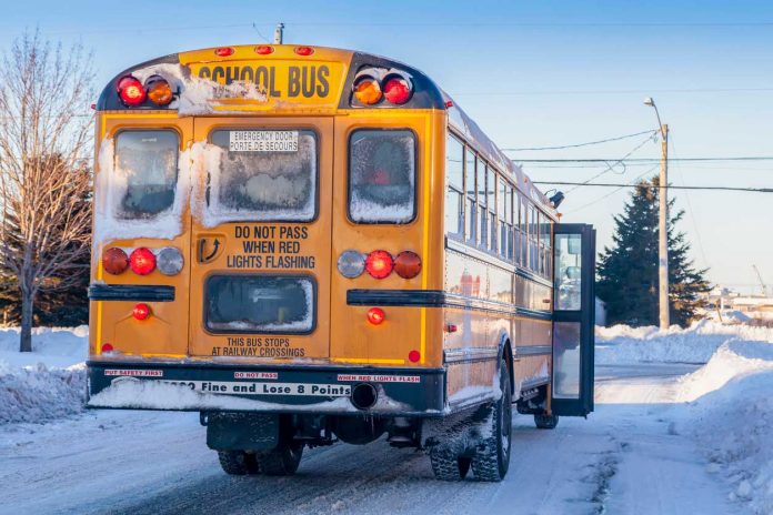 snowy-bus