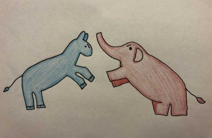 elephant-donkey-phoebe-raborn