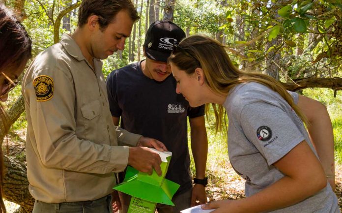 va-state-americorps