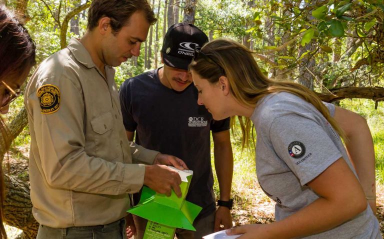 A youth ‘climate corps’ could help ‘green’ America