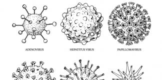What makes SARS-CoV-2 so unique? Mutations.