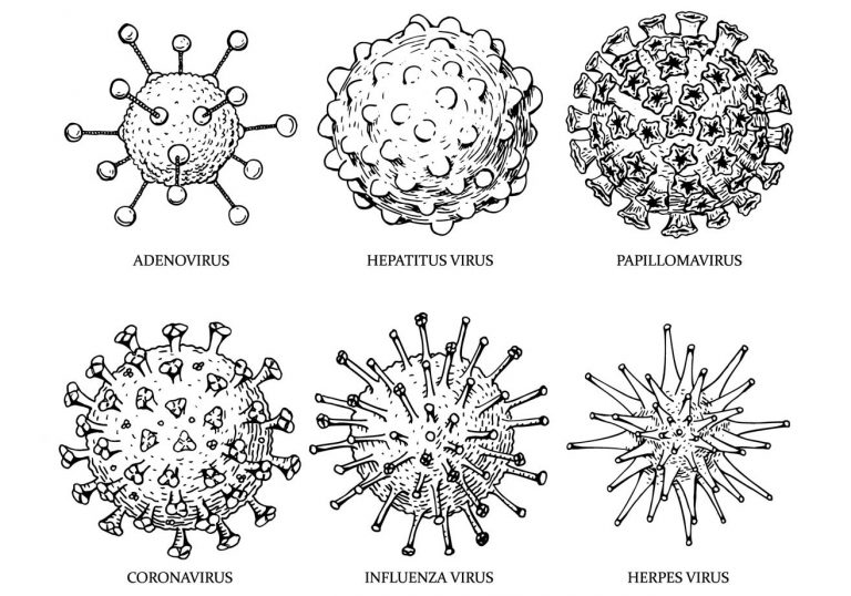 What makes SARS-CoV-2 so unique? Mutations.