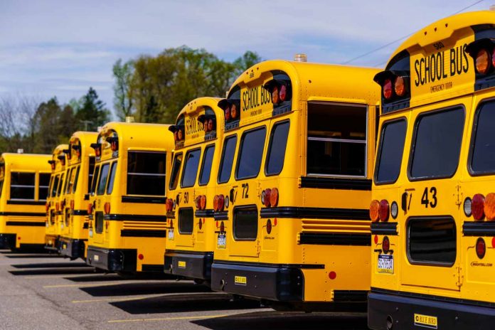 buses-in-line