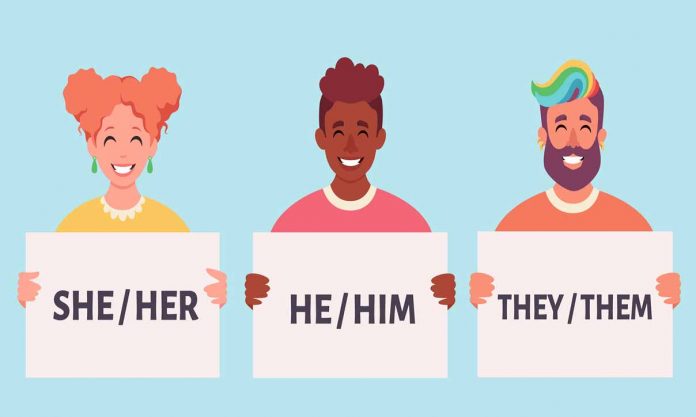 he-she-they