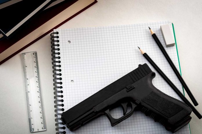 gun-at-school-graph
