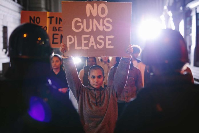 no-guns-please