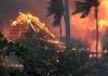 Wildfires in Hawaii Kill at Least 93