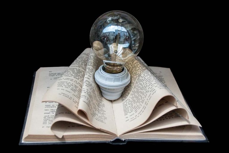 Pope Francis: studying literature is valuable