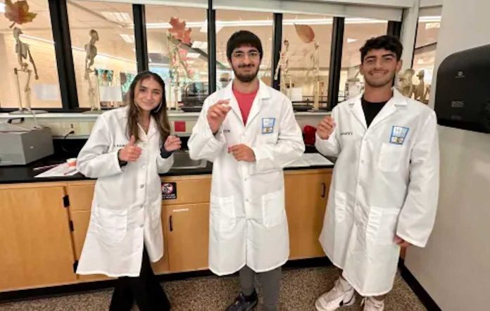skyline-ann-arbor-lab