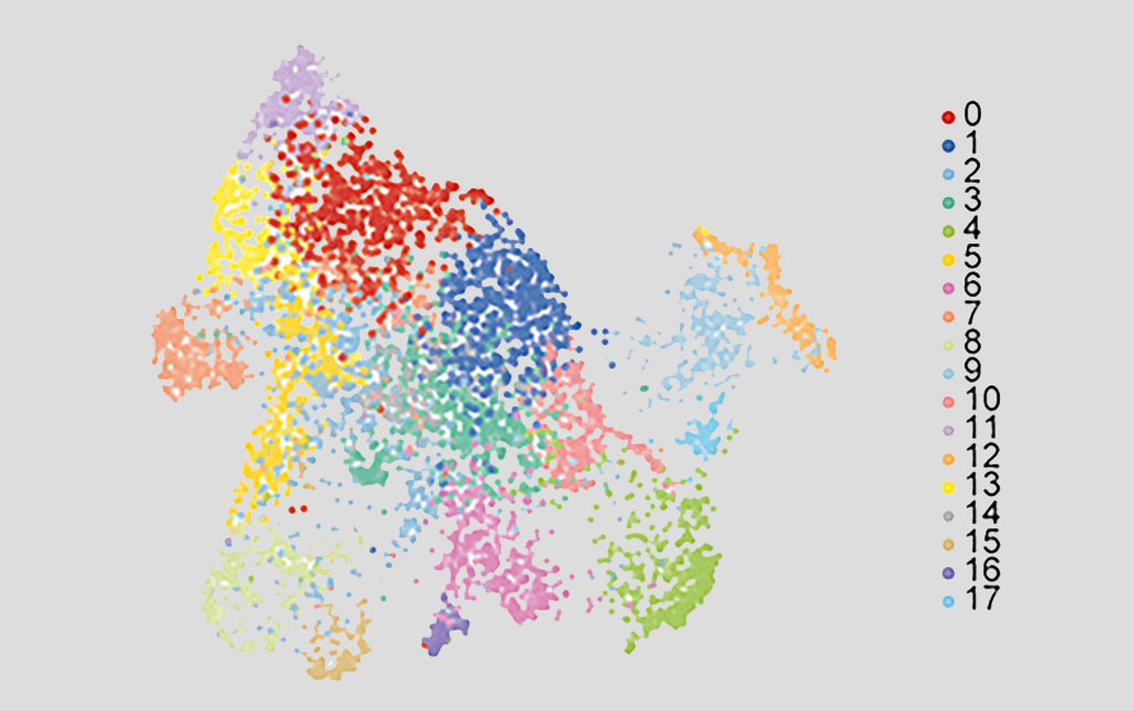 Hopkins scientists grow a mini human brain