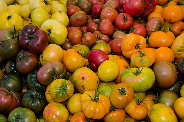School lunches clash with MAHA’s push for healthy food