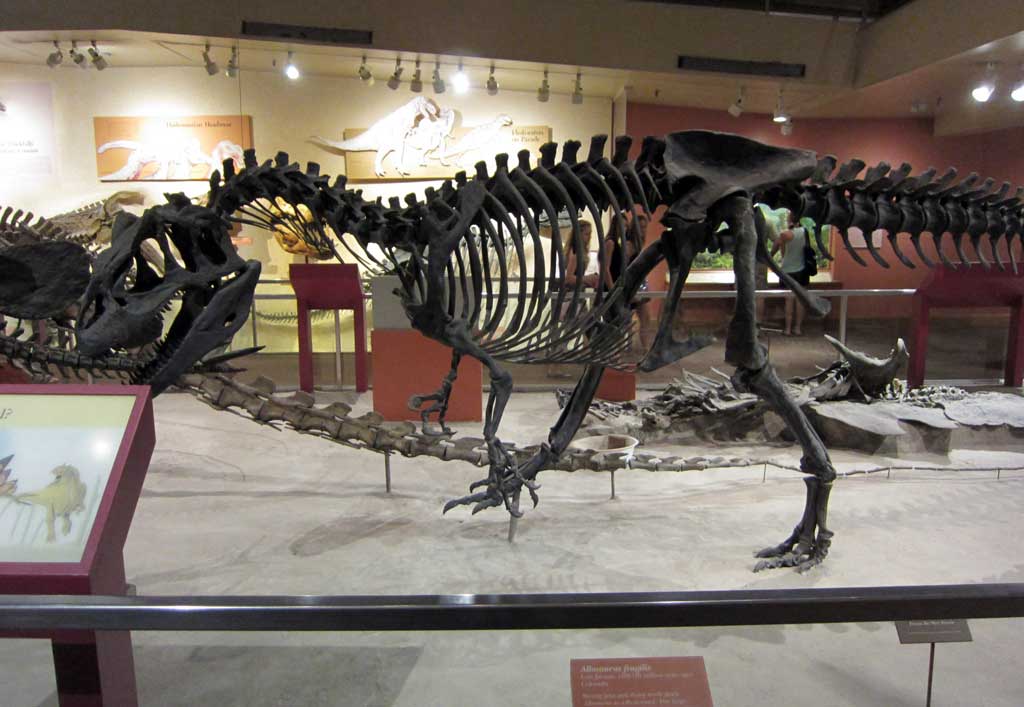 Dental records show dinosaurs’ diverse diets