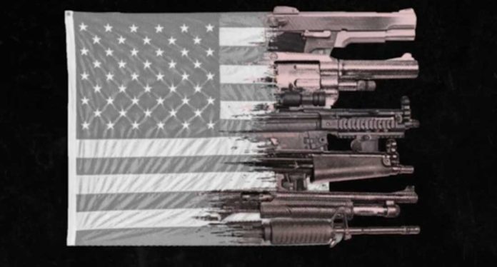 gun-american-flag